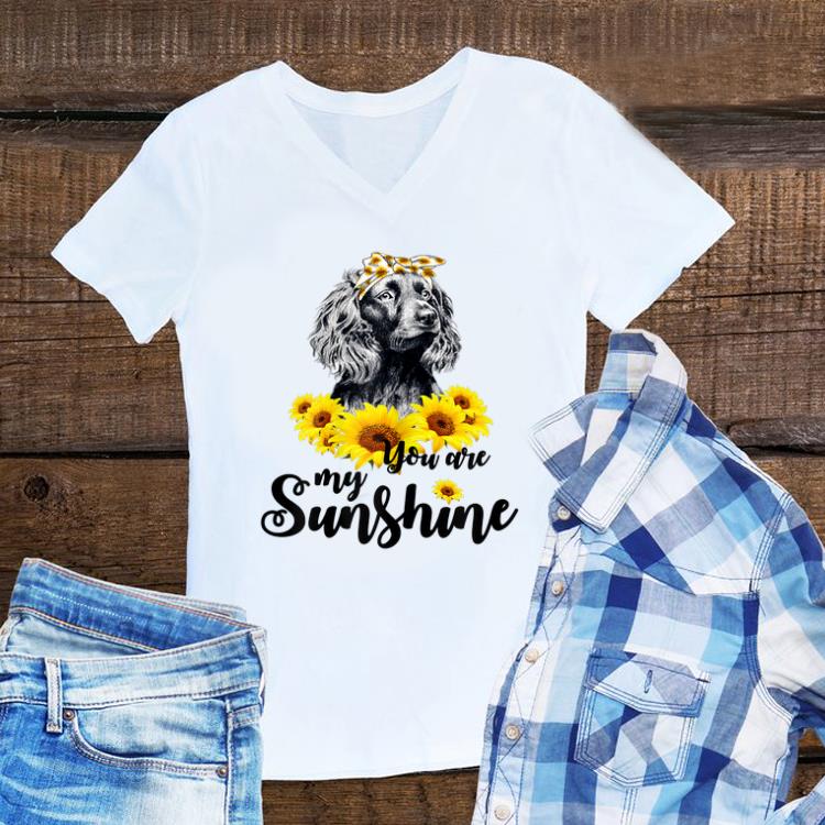 Funny Boykin Spaniel You Are My Sunshine Sunflower shirt 1 - Funny Boykin Spaniel You Are My Sunshine Sunflower shirt