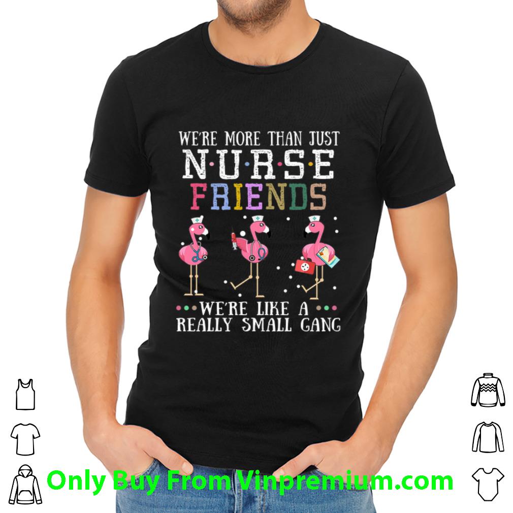 Original We're More Than Just Nurse Friends We're Like A Really Flamingos shirt