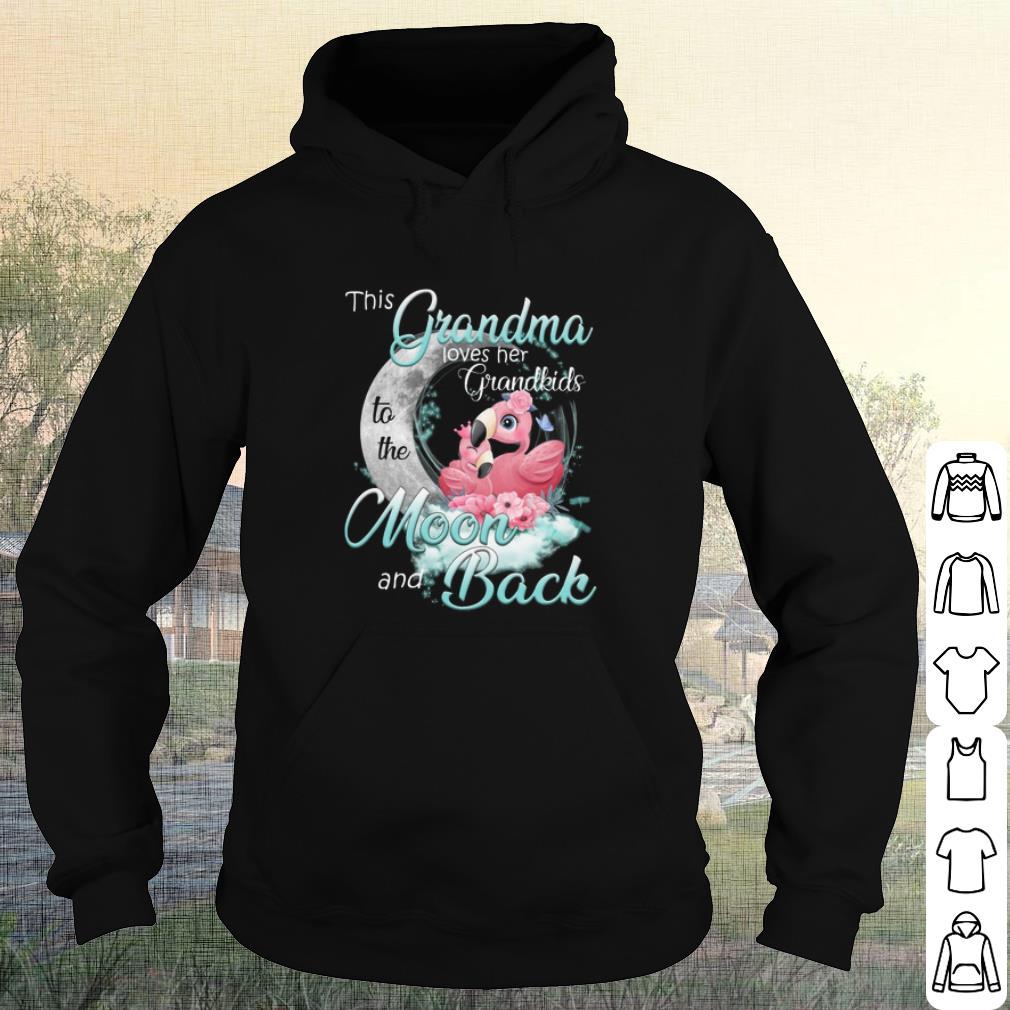 42d24b28 nice this grandma loves her grandkids to the moon and back shirt 4 - Nice This Grandma loves her Grandkids to the Moon and Back shirt