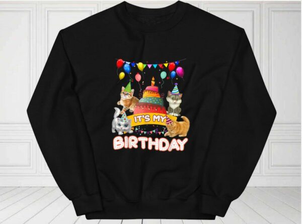Cat Day Shirt, Cat It's My Birthday Shirt, It's My Birthday Cat For Fan Shirt
