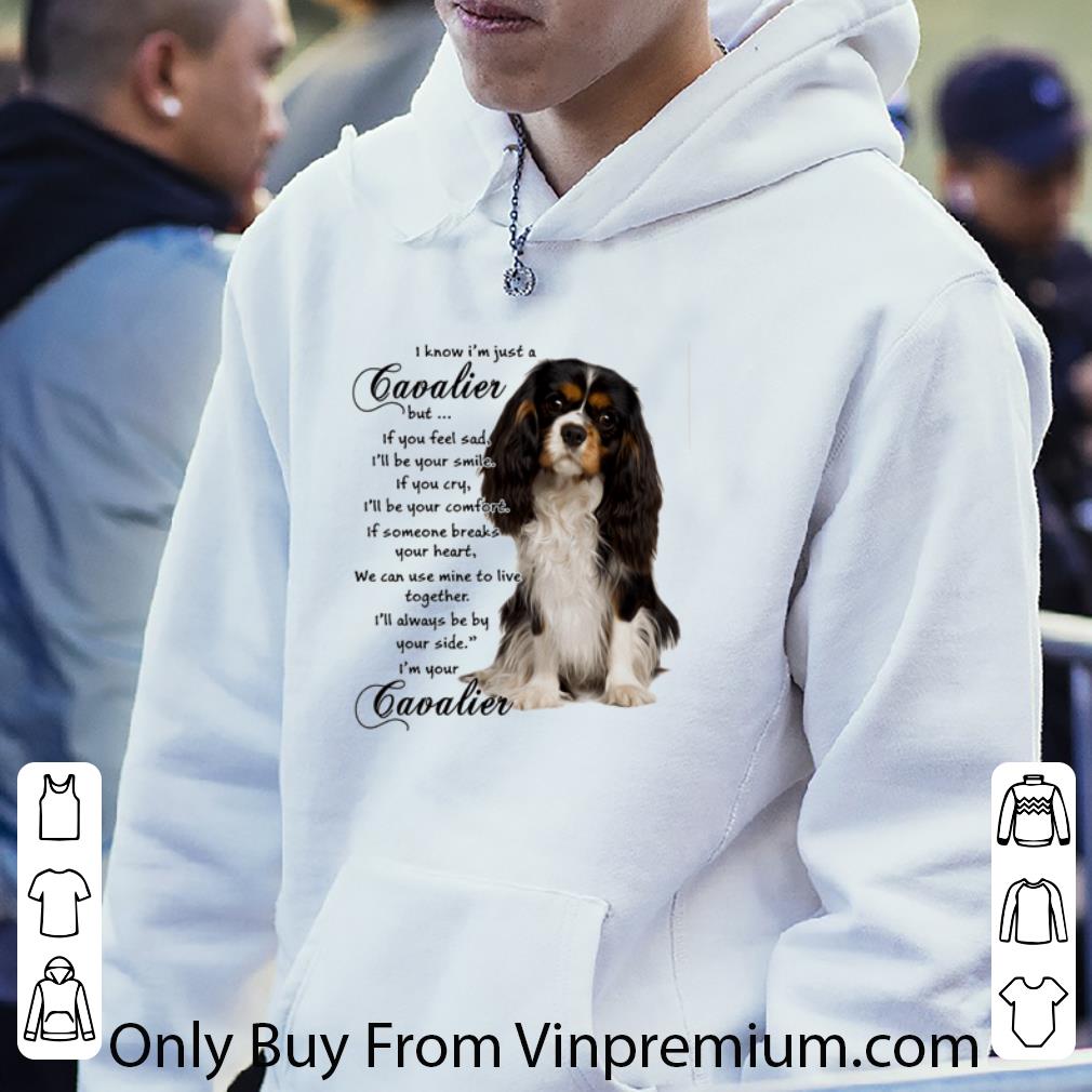 Awesome I Know I’m Just A Cavalier But If You Feel Sad I’ll Be Your Smile shirt 22a0498f awesome i know i m just a cavalier but if you feel sad i ll be your smile shirt 4 - Awesome I Know I’m Just A Cavalier But If You Feel Sad I’ll Be Your Smile shirt