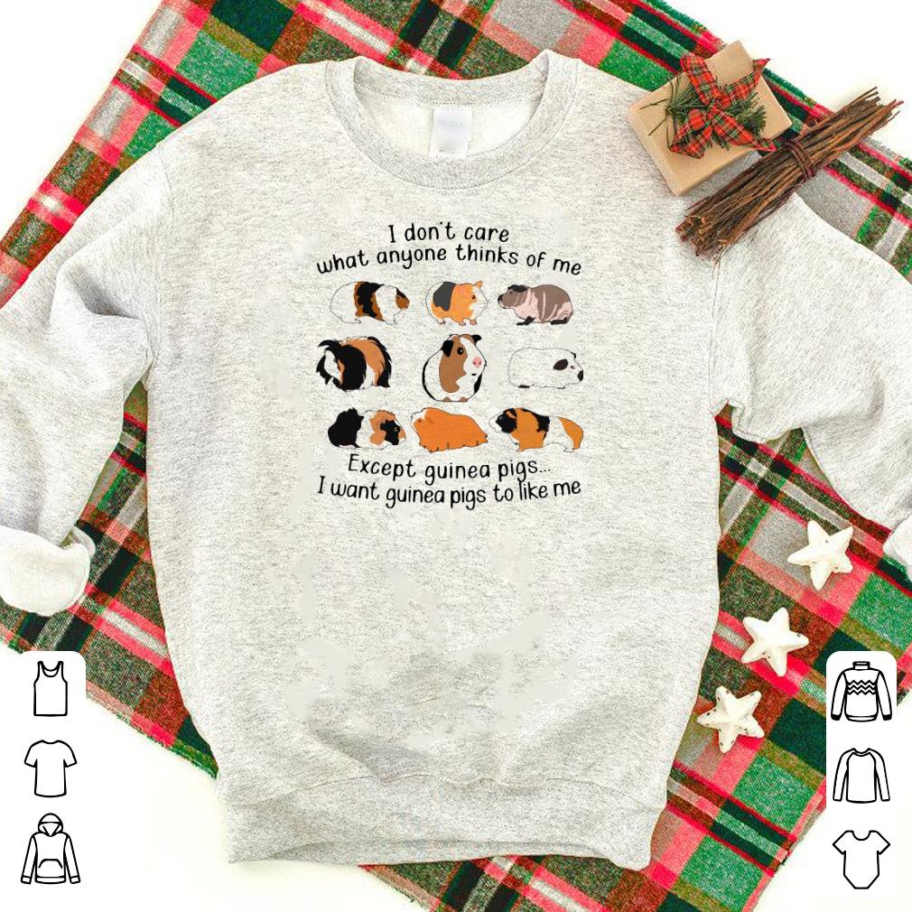 Nice I Don’t Care What Anyone Thinks Of Me Except Guinea Pigs I Want Guinea Pigs To Like Me Shirt