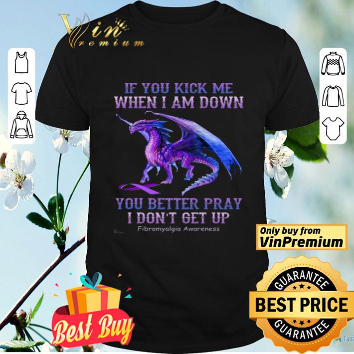 Dragon Fibromyalgia Awareness If You Kick Me When I Am Down You Better shirt