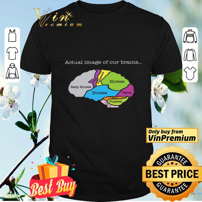 Actual Image Of Our Brains Baby Horses Naps Supplements Horses Tacos Wine shirt