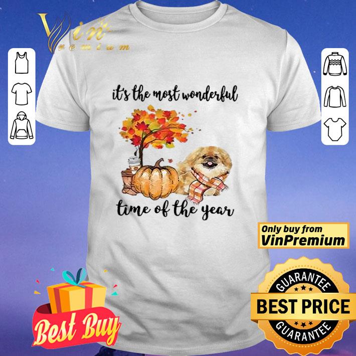 Fall Pumpkin It’s The Most Wonderful Time Of The Year Pekingese shirt