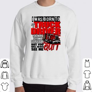 I was born to be a truck driver you may see me struggle shirt 5