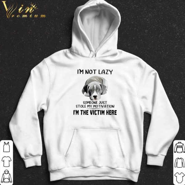 I'm Not Lazy Someone Just Stole My Motivation I'm The Victim Here shirt 2