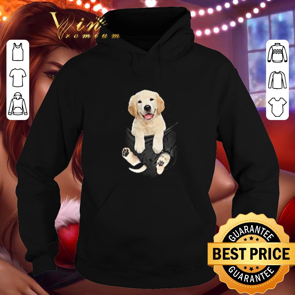 Nice Golden Retriever in pocket shirt Nice Golden Retriever in pocket shirt 4 - Nice Golden Retriever in pocket shirt