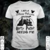 Aaliyah Dana Haughton Shirt, Aaliyah Graphic Tee Princess of R&B, Queen of Urban Pop