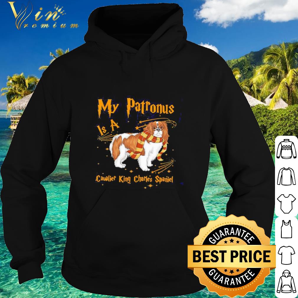 Cool My Patronus Is A Cavalier King Charles Spaniel shirt 9 Cool My Patronus Is A Cavalier King Charles Spaniel shirt