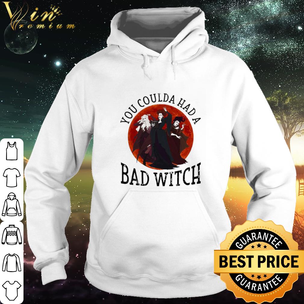 Nice Hocus Pocus You coulda had a Bad Witch moon shirt 9 Nice Hocus Pocus You coulda had a Bad Witch moon shirt