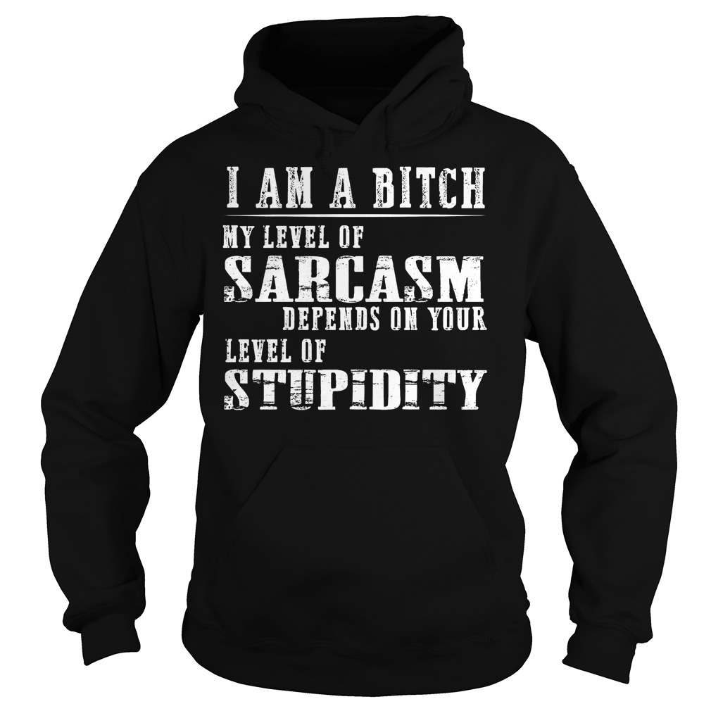 I Am A Bitch My Level Of Sarcasm Shirt 2 I Am A Bitch My Level Of Sarcasm Hoodie