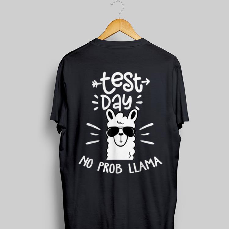 Testing Test Day No Prob Llama Teacher 