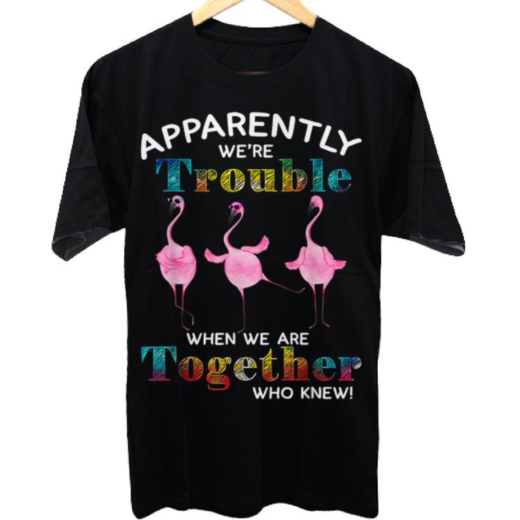 Nice Apparently We're Trouble When We Are Together Flamingo shirt