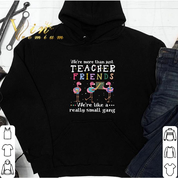Official Flamingos we're more than just teacher friends we're like a shirt