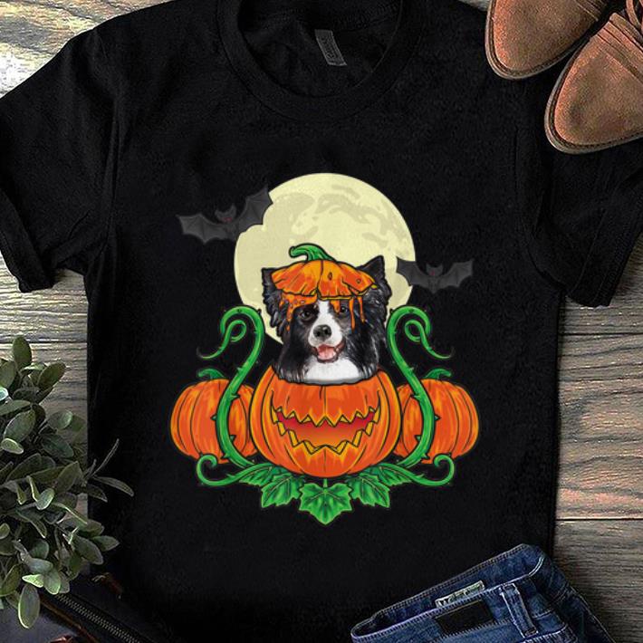 Hot Border Collie In Pumpkin Costume Halloween Border Collie shirt