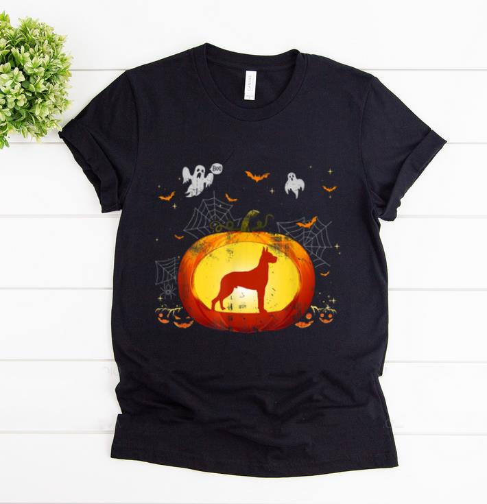 Top Pumpkin Great Dane Halloweens Gift For Dog Lovers shirt