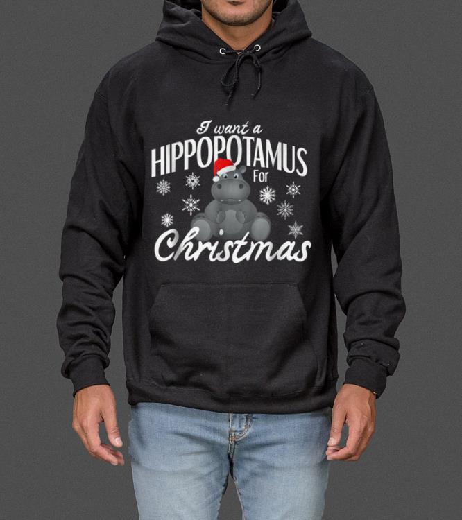 I want a hippopotamus for Christmas sweater
