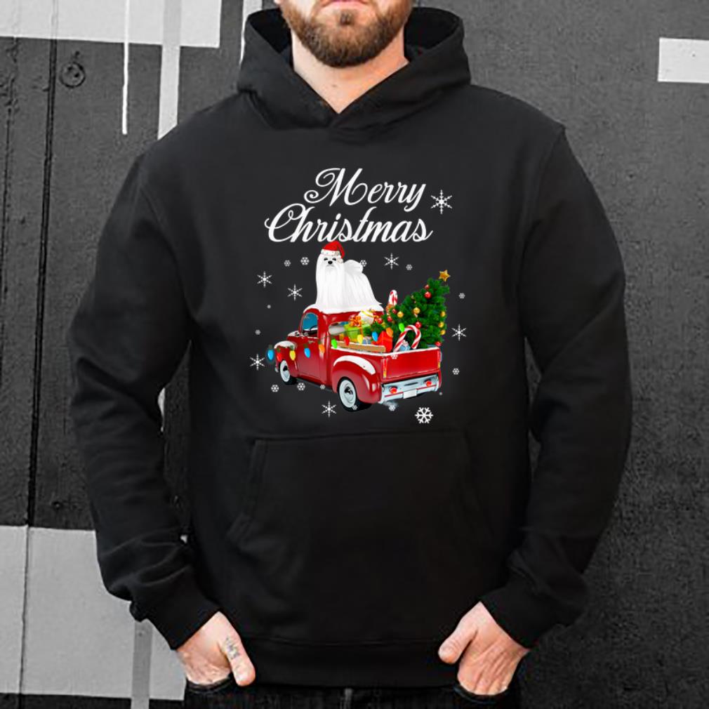 Original Maltese Rides Red Truck Christmas Pajama Funny Gift shirt
