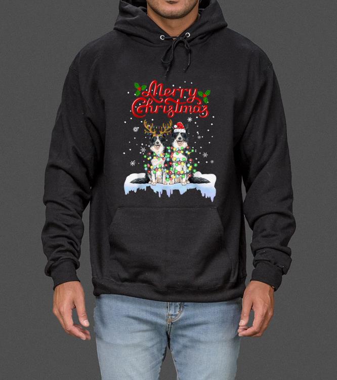Hot Border Collie Christmas Lights Funny Dog Matching Family sweater