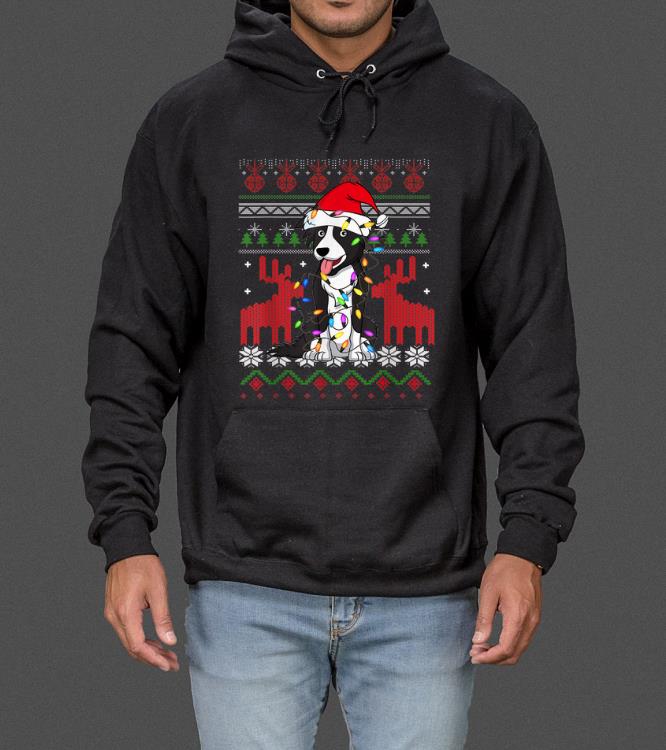Nice Border Collie Ugly Christmas Sweater Funny Holiday Dog Gift sweater