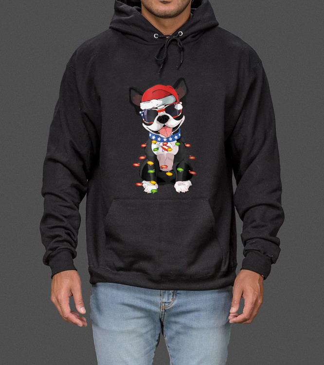 Original Boston Terrier Christmas Boston Terrier Dog Gift sweater