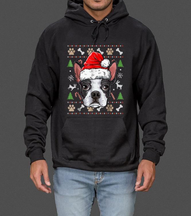 Pretty Boston Terrier Ugly Christmas Santa Hat Xmas Dog Boys sweater