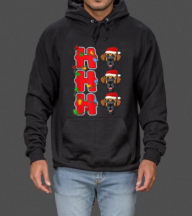 Pretty Ho-Ho-Ho Santa Great Dane Christmas Gift sweater