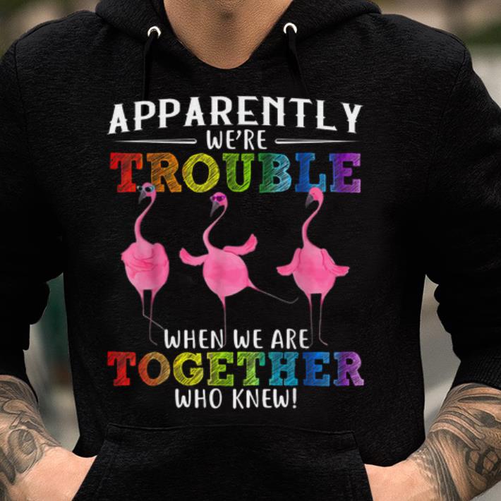 Awesome Apparently We're Trouble When We Are Together Who Knew LGBT Pride shirt