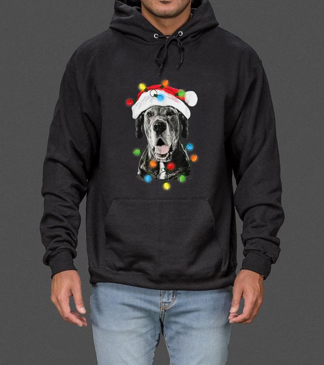 Funny Santa Great Dane Christmas Lights Dog Dad Mom Xmas sweater