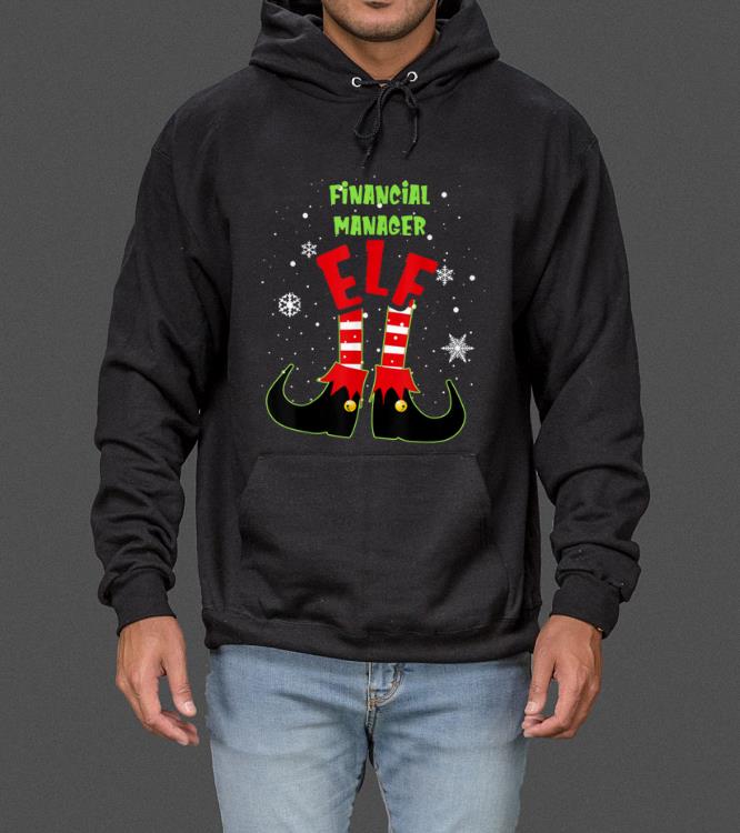 Hot Financial Manager Elf Matching Christmas Family sweater