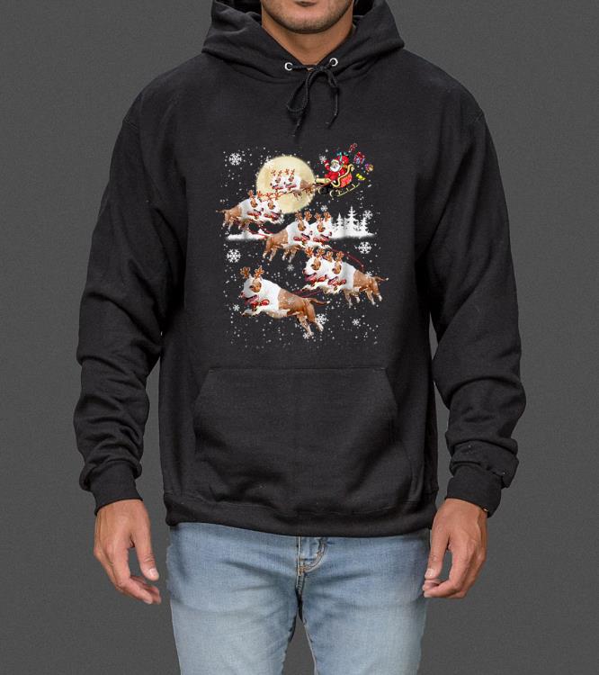 Nice Pitbull Reindeer Christmas sweater