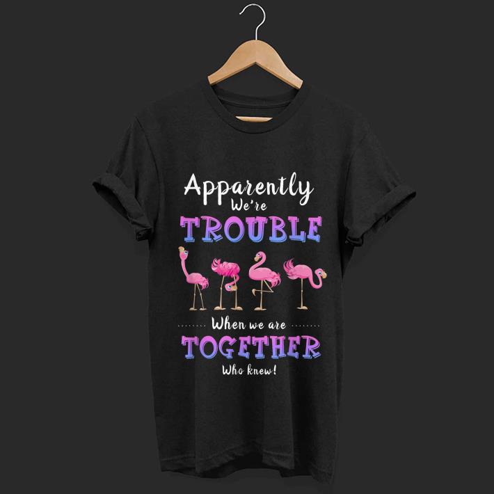 Awesome Apparently We're Trouble When We Are Together Flamingo shirt