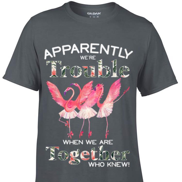 Awesome Flamingo ballet Apparently We're Trouble When We Are Together shirt