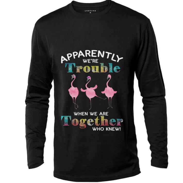 Funny Flamingos apparently we’re trouble when we are together who knew shirt 5 Funny Flamingos apparently we’re trouble when we are together who knew shirt