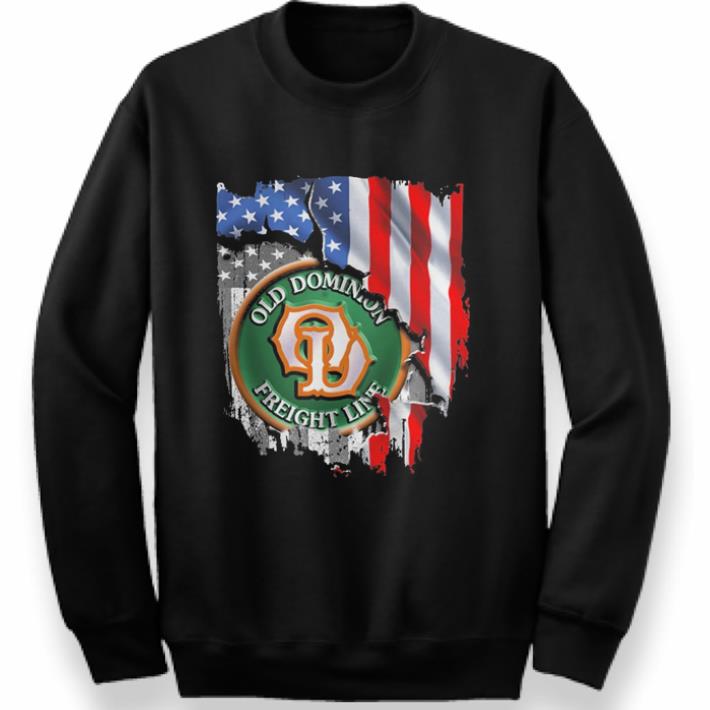 Funny Funny Awesome Old dominion freight line american flag shirt