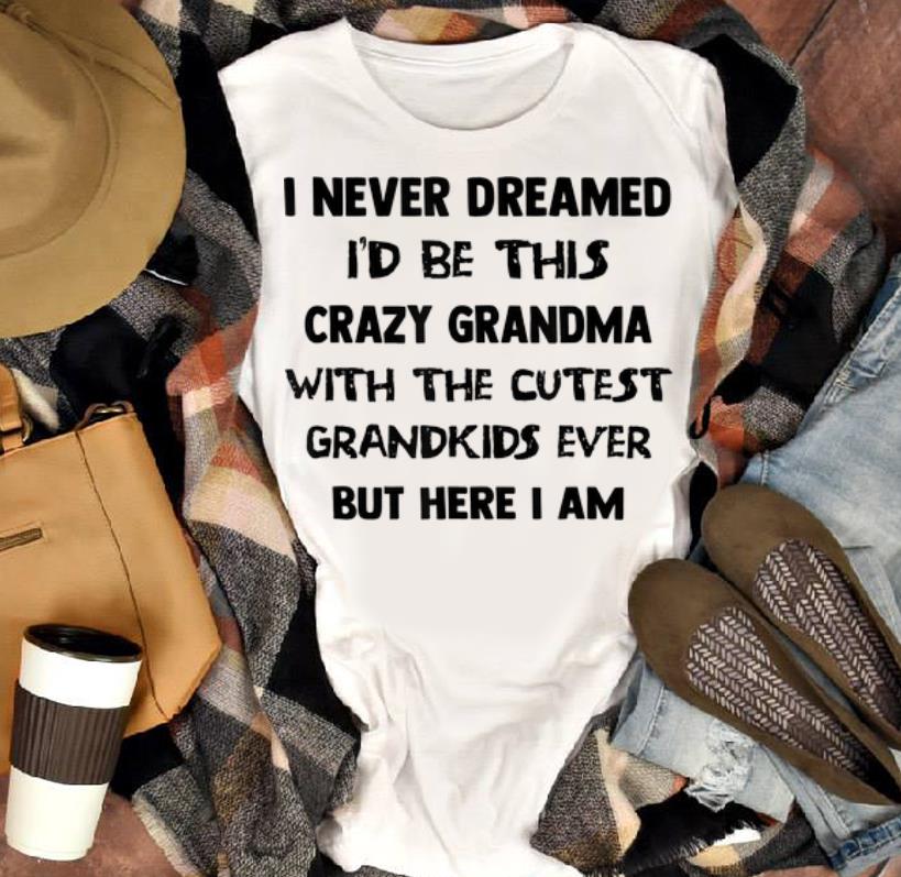 Awesome I Never Dreamed I'd Be This Crazy Grandma With The Cutest Grandkids Ever But Here I Am hoodie