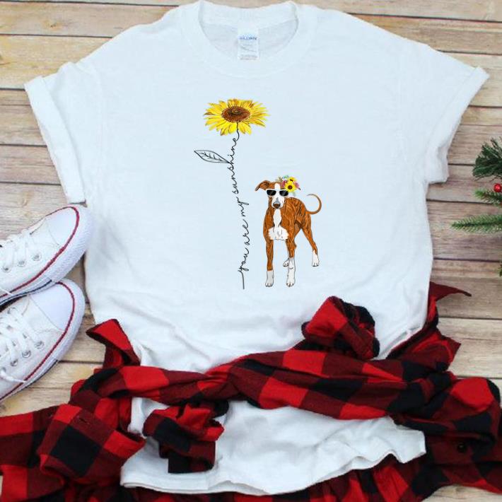 Awesome You Are My Sunshine Italian Greyhound Sunflower shirt