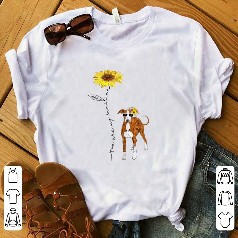 Hot You Are My Sunshine Italian Greyhound Sunflower shirt