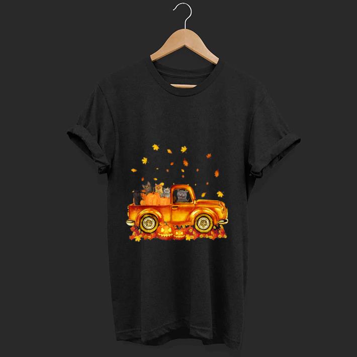 Nice Autumn Cat Kitten Pumpkin Falling Leaf Car shirt