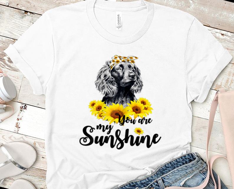 Nice Boykin Spaniel You Are My Sunshine Sunflower shirt