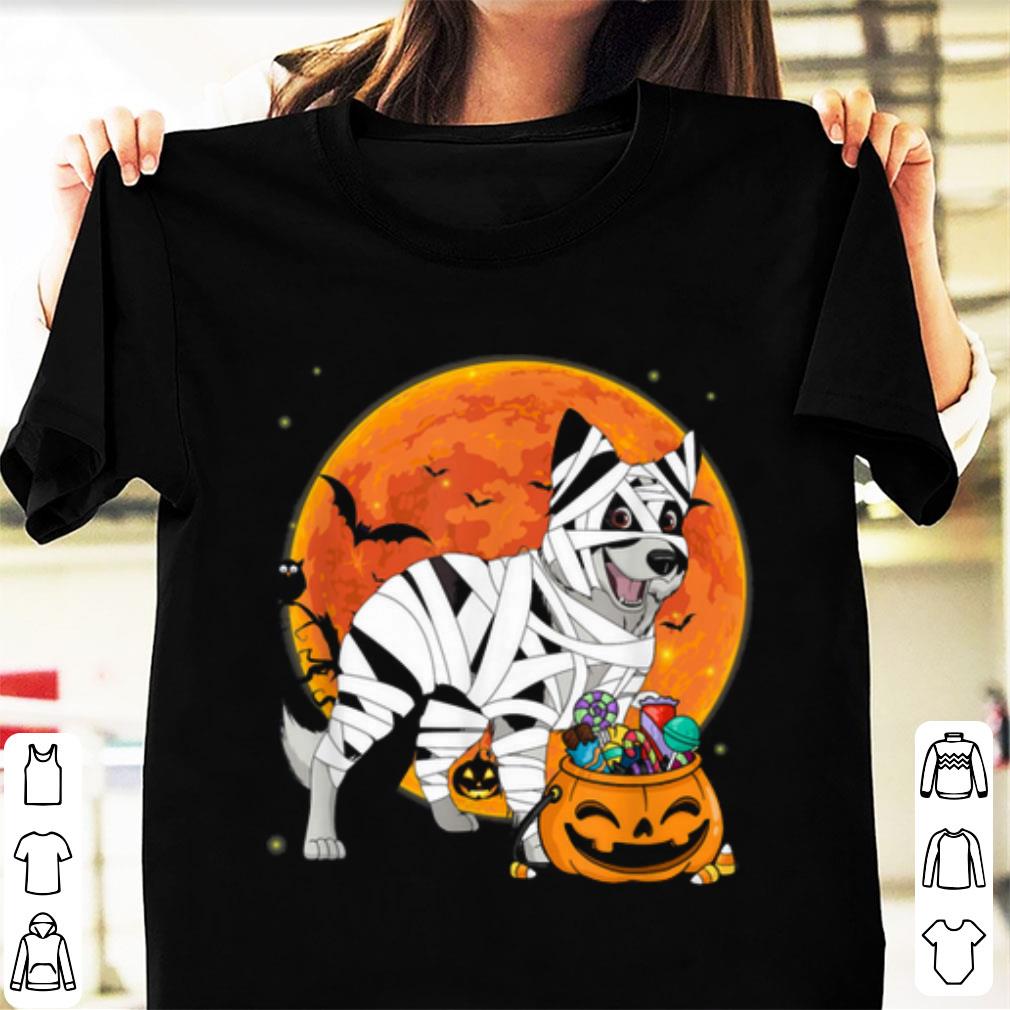 Premium Border Collie Dog With Candy Pumpkin Halloween Gifts shirt
