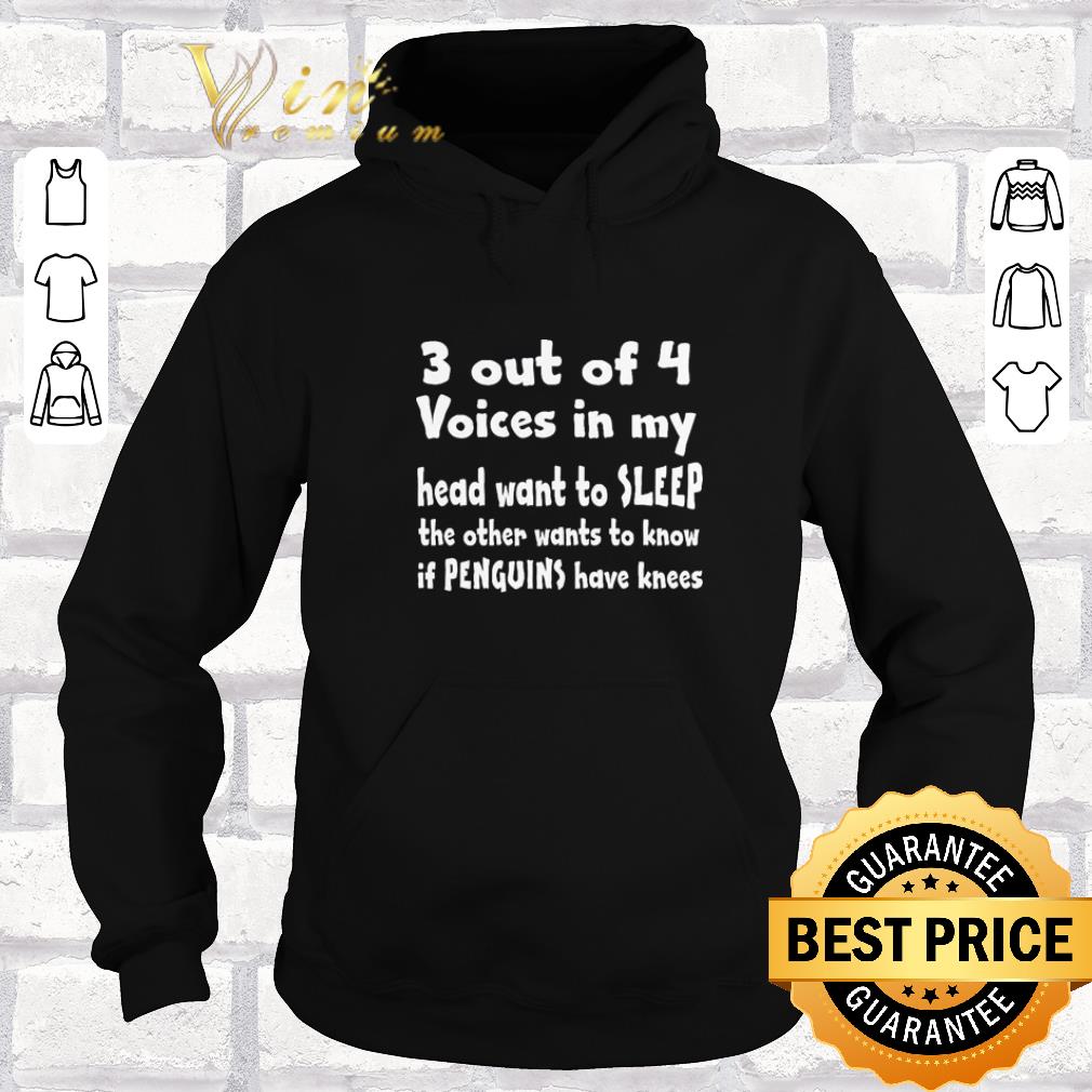 Funny 3 out of 4 voice in my head want to sleep shirt sweater