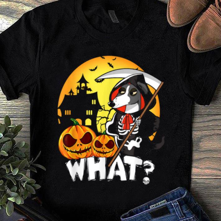 Hot Greyhound With What Saying In Halloween Hound Dog Gifts shirt