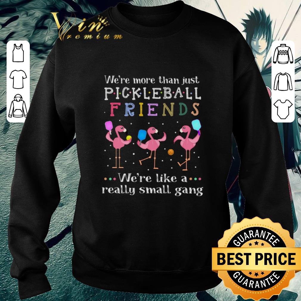 Nice Flamingo we're more than just pickleball friends we're like a shirt