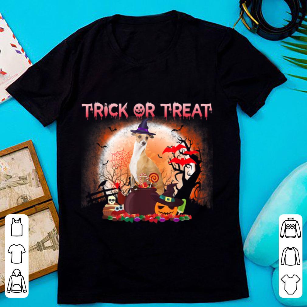 Pretty Cool Italian Greyhound Halloween trick or treat shirt