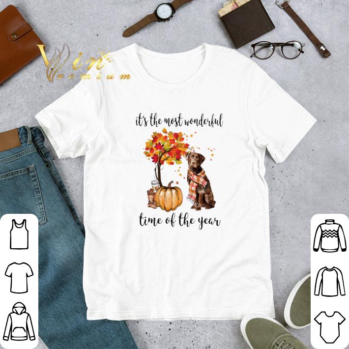 Pretty Pumpkin & Labrador it's the most wonderful time of the year shirt 7 Pretty Pumpkin & Labrador it's the most wonderful time of the year shirt