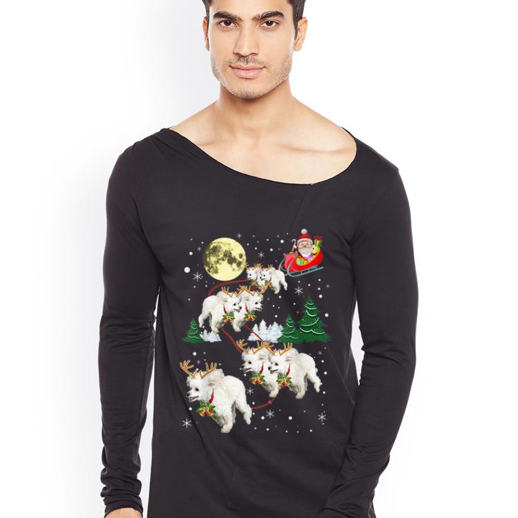 Hot Merry Xmas Poodles Reindeer Christmas Dog Lovers shirt