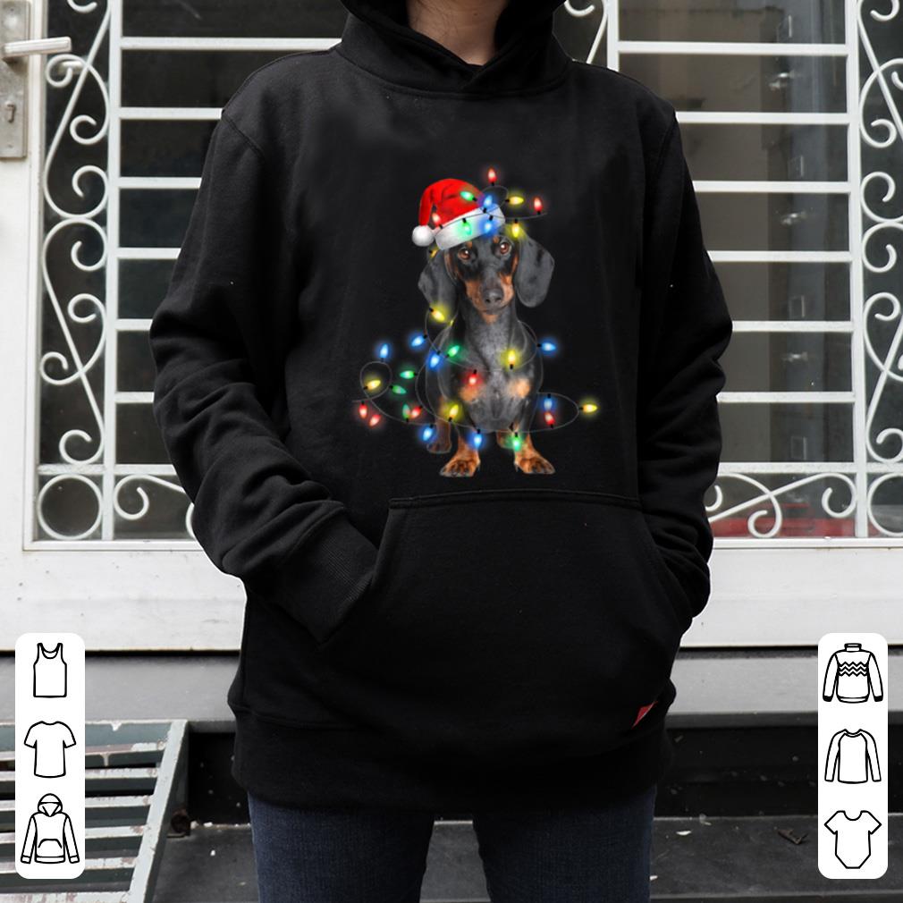 Hot Naughty Dachshund Christmas Fairy Lights Dog Lovers shirt