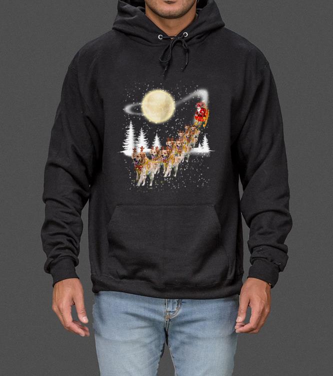 Hot Golden Retriever Reindeer Christmas sweater